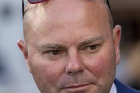 Queensland-bred horses shine