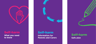 Whether a person has recently started hurting his or herself or has been doing it for a while, there is an opportunity to improve health and reduce behaviors. Self Harm Every Life Matters