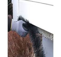 Protection brush PROFF 4 meters - for protection against ...