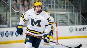 This is my early top 100 ranking for the 2021 nhl draft. Owen Power William Eklund Top In Nhl Central Scouting S 2021 Final Draft Ranking Eminetra Canada