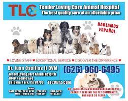 The veterinarians at hinsdale animal. Tender Loving Care Animal Hospital Home Facebook