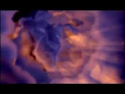 It finished in 25 out of 27 songs at eurovision with only 4 points. Le Roi Lion N Oublie Pas Qui Tu Es Youtube