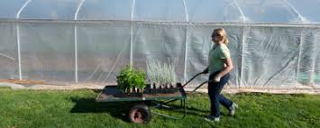 Ccc is also the only college to offer an urban agriculture certificate in the state of oregon.clackamas community college is accredited by the northwest commission on colleges and universities. Clackamas Community College Plant Health Management Cc
