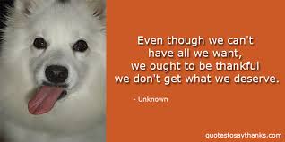 My fond memories of the time in your. Funny Thank You Quotes Archives Thank You Quotes