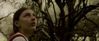 La Solapa (Short 2019)