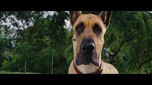 Marmaduke Trailer Hd Youtube