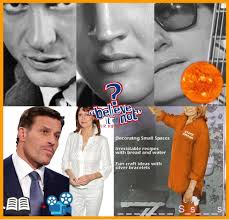 Believe It Or Not Quiz Nights