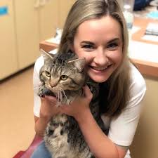 Celebrating Sonny the Cat's 15th Birthday and Rescue Story