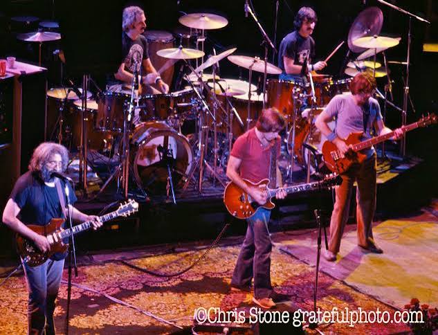Grateful Dead of the Day