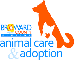 If anyone has been waiting for the right little furbaby for their family and are interested in both or either of these beautiful boys, follow and check out palm beach purrs rescue to apply for their adoption application! Pets For Adoption At Broward County Animal Care And Adoption In Fort Lauderdale Fl Petfinder
