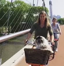 De atlete heeft een puppy aangeschaft en laat de wollige viervoeter met trots zien op social media. Drama Hond Dafne Schippers Door Trein Geschept Ditjes Datjes