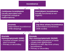 Image result for Enuresis