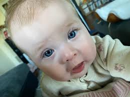 Establishing solids feeding routine at 6 months?