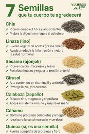 semillas que tu cuerpo te agradecerá, por sus increíbles beneficios para la  salud: ⸻ 🌱 7 Semillas que tu cuerpo te agradecerá 1. Chía ✓ Rica en  omega-3, fibra y antioxidantes ✓