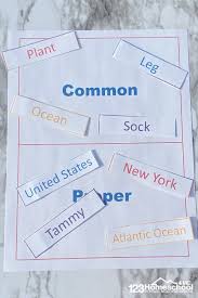 This is our proper and common nouns worksheet section. Common And Proper Noun Sort Activity And Free Worksheet