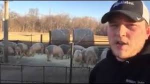 Best Tasting Pig Breeds and Genetics