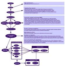 typhoid fever background pathophysiology epidemiology