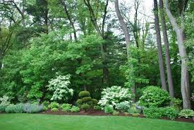 Disposition Of Plants Small Yard Landscaping Garden Landscape Design Backyard Landscaping