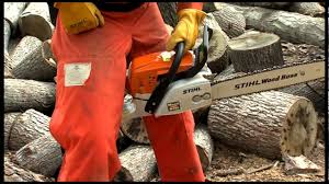 Get push to start chainsaw stihl delivered to your door in as little as 2 hours. Chapter 9 Starting Your Stihl Chainsaw Youtube