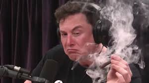 Elon musk's 'saturday night live' appearance has upset some cast members. Snl Cast Won T Be Forced To Appear With Elon Musk