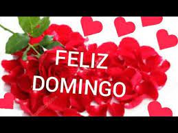 Mensagem Linda De Bom Dia Feliz Domingo Lindo Video De Bom Dia Cheio Das Gracas De Deus Youtube Pois sao stickers de bom dia domingo lindas. mensagem linda de bom dia feliz domingo lindo video de bom dia cheio das gracas de deus