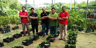 Setiap penggunaan teknologi maju selalu disertai adanya dampak negatif. Kepentingan Nanoteknologi Dalam Sektor Pertanian Di Malaysia Majalahsains