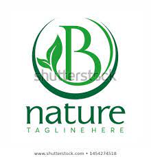 Letter B Logo Concept Nature Green Leaf Symbol Initials B Icon Natural Design Stock Vector Logo Concept Lettering Letter B