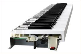 Whether you are a beginner or a pro, you should be familiar with the best digital piano and keyboard brands available in 2021. 10 Best Digital Pianos And Keyboard 2021 Experts Choice