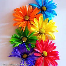Multiple Coloured Flowers Cool Display Pictures Rainbow Colors Happy Colors Rainbow