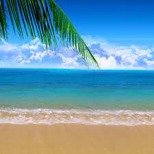 Photo Wallpaper Beach Beach Inspired Live Wallpaper Hd