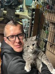 This big boy just got neutered today and needs a foster or home. 😭 (the  cat)