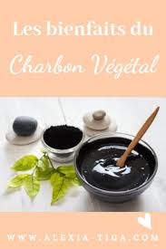 Les Bienfaits Du Charbon Vegetal En 2020 Charbon Vegetal Charbon Vegetal Actif Vegetal