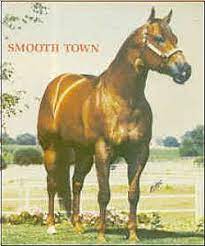 pin by amanda lowell on horses american quarter horse quarter horse horse breeds