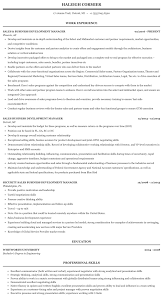 Business development manager is responsible for identifying new business opportunities for the business development managers also look for new partnerships, new markets and new ways to promote in an exciting market. Sales Business Development Manager Resume Sample Mintresume