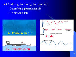 Gelombang transversal adalah gelombang yang arah getarnya tegak lurus dengan arah rambat gelombang. Gelombang Mekanik Transversal Longitudinal Ppt Download