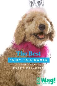 Pin On Top Dog Names