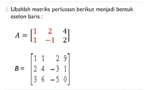 Matriks eselon baris tereduksi 3x3. Mohon Bantuannya Kakak Brainly Co Id