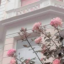 See more ideas about pastel aesthetic, aesthetic wallpapers, aesthetic iphone wallpaper. Pink Blue Pastel Flowers Aesthetic Pink Aesthetic Pastel Pink Aesthetic Flower Aesthetic