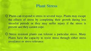 Response Of Plant To Stress By Abu Khairul Bashar