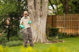 In my opinion, trugreen is worth it if you have a large yard, don't have a lot of time to spend taking care of your lawn, and don't want to spend your money trying out different products to see what works. Grassperson Vs Trugreen 2 Lawn Care Companies In Flower Mound Highland Village Tx