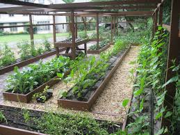 23 Smart Ways Garden Design Vegetable Backyard Ideas Xtra Inspira Small Garden Design Small Vegetable Gardens Garden Layout