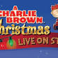 Charlie Brown concerto em Lowell