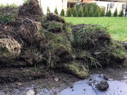 Für fast alle arbeiten im garten gibt es mittlerweile technische hilfsmittel, die diese erleichtern. Rasen Frasen Oder Abtragen Was Verspricht Mehr Erfolg