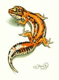 Geckos are unique among lizards in their vocalizations, making chirping sounds in social interactions with other geckos. Leopard Gecko Tattoo Design By Shanticameron On Deviantart