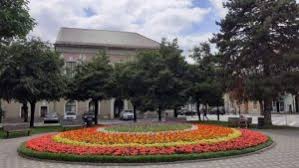 Declaratii de impunere si scoaterea din evidenta. ProgramÄri AudienÈe Primaria Bistrita