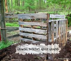 Home » diy & crafts » furniture » potato and vegetable bin ikea rast hack. Potato Tower Does It Grow More Spuds Timber Creek Farm