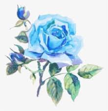 (half) pastel + jughead for anonymous~. Blue Rose Png Images Free Transparent Blue Rose Download Kindpng