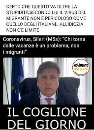 Andrea crisanti (roma, 14 settembre 1954) è un medico, accademico e divulgatore scientifico italiano. Veritas Vincit Crisanti Crisantemo Il Fiore Dei Morti