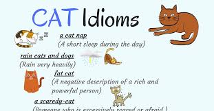 Cat / cat's got your tongue: Animal Idioms About Cats And Their Meanings In English Eslbuzz Learning English