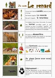 S Epanouir Pour Bien Grandir Novembre 2013 French Education Gluten Free Bakery Elearning
